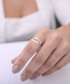 Alternative view of Anel do Abraço